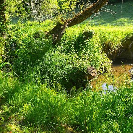 Le Domaine Du Pont Canon Plourivo Dış mekan fotoğraf