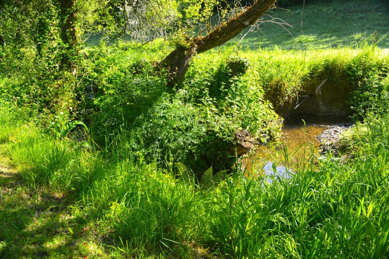 Le Domaine Du Pont Canon Plourivo Dış mekan fotoğraf